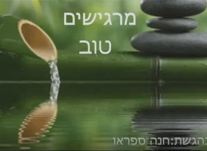 מרגישים טוב - חנה ספאקו