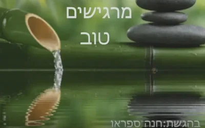 מרגישים טוב - חנה ספאקו