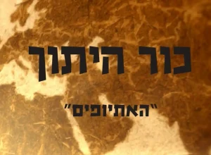 Screenshot 2024-12-03 165543