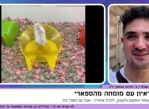 האם באמת כדאי לשחק אותה מתים?