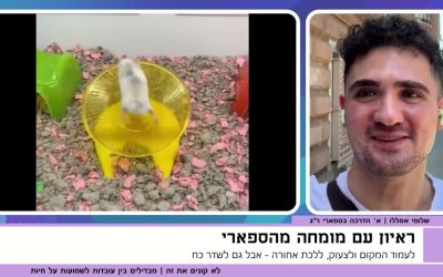 האם באמת כדאי לשחק אותה מתים?