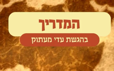 המדריך בהגשת עדי מעתוק